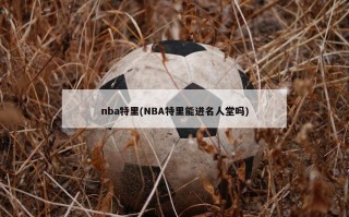 nba特里(NBA特里能进名人堂吗)